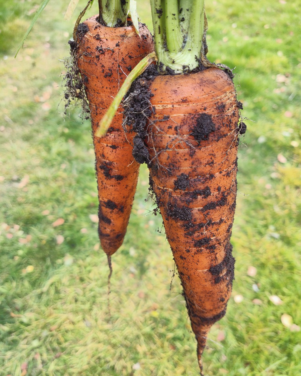 28th October 2020