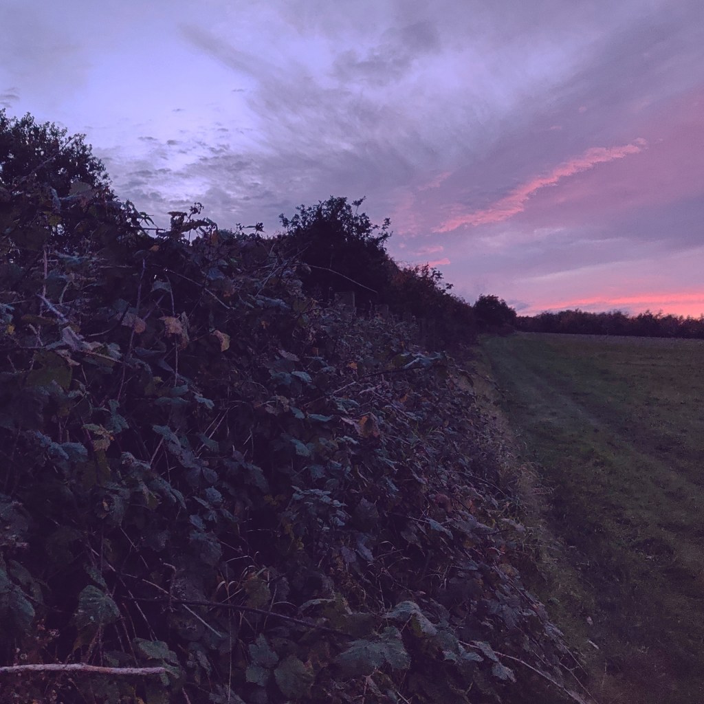 30th October 2020