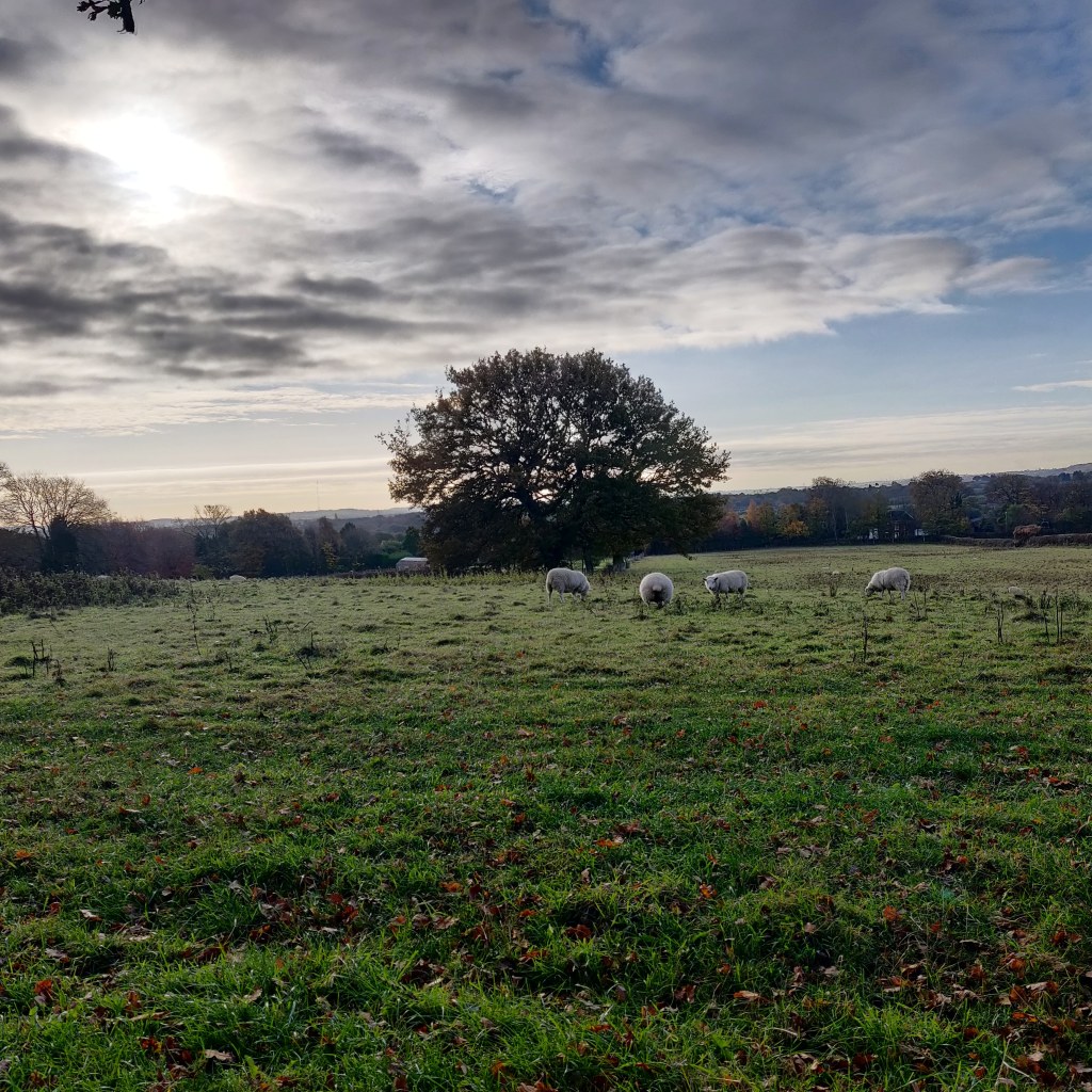 5th November 2020