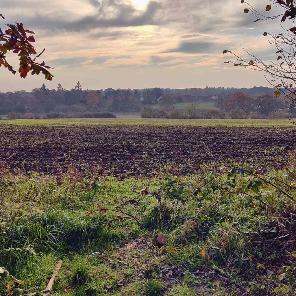 9th November 2020