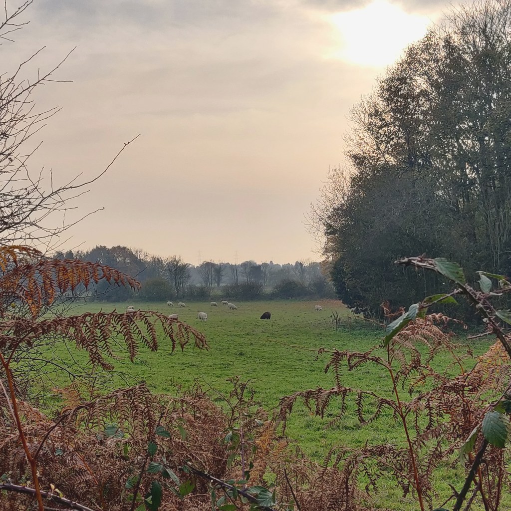 14th November 2020