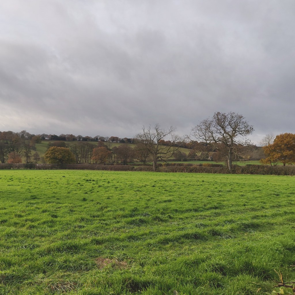 17th November 2020