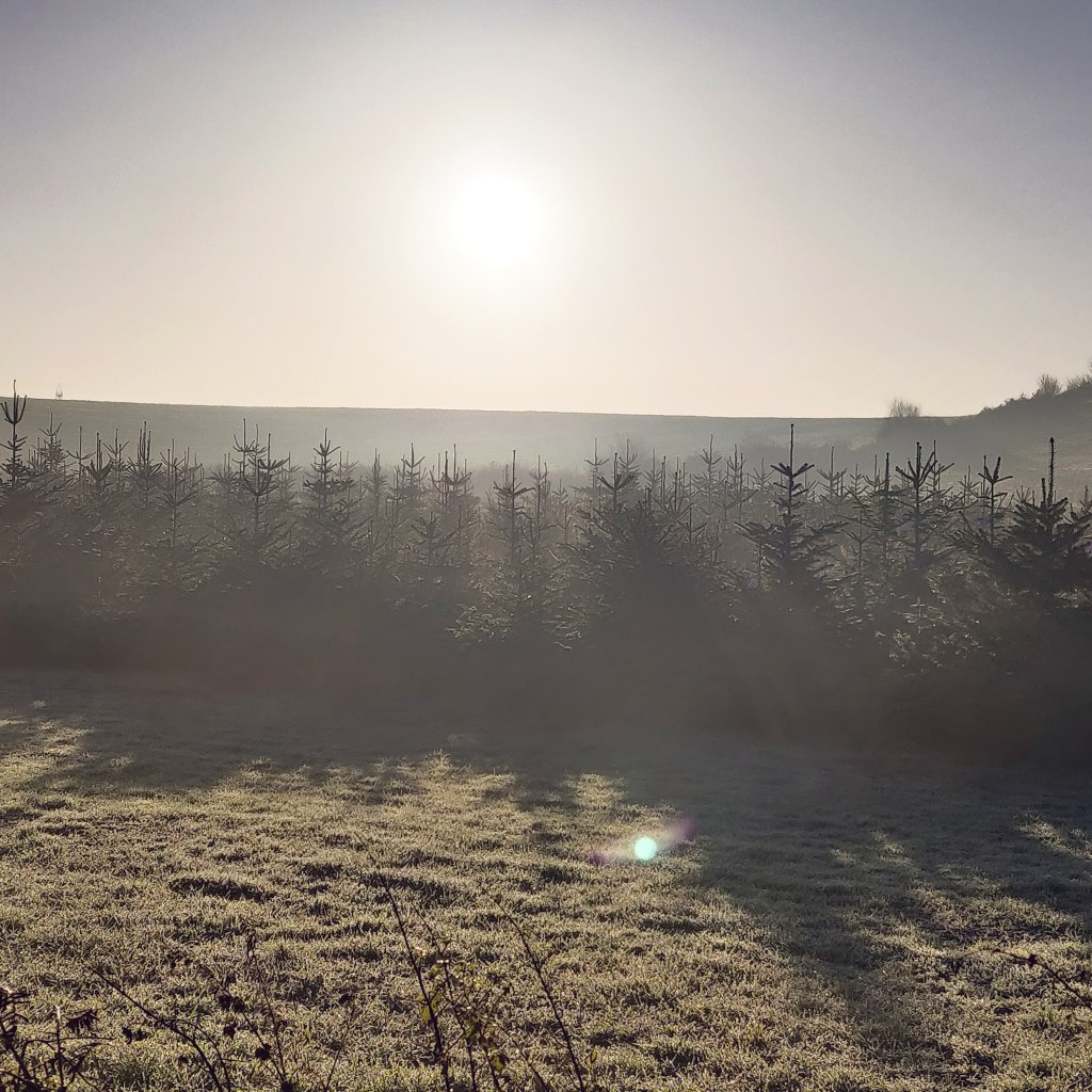 26th November 2020