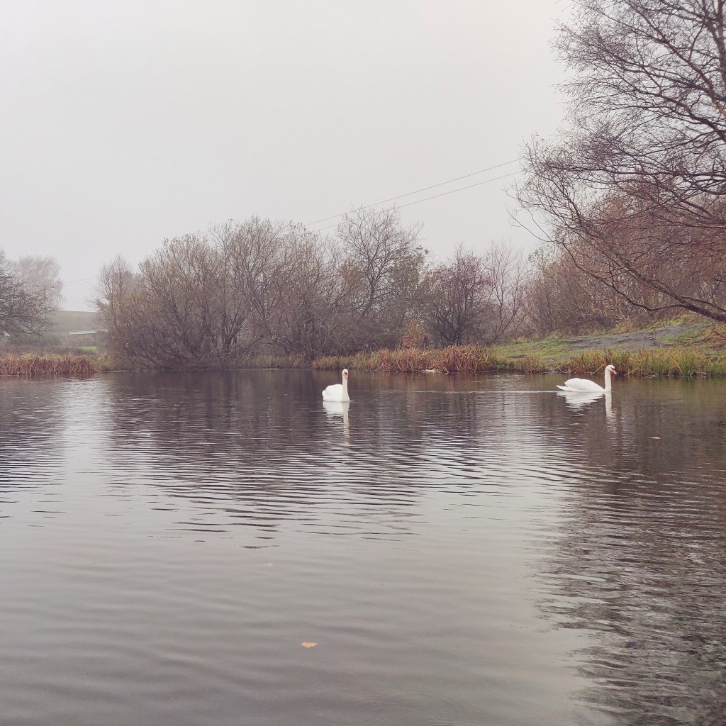 28th November 2020