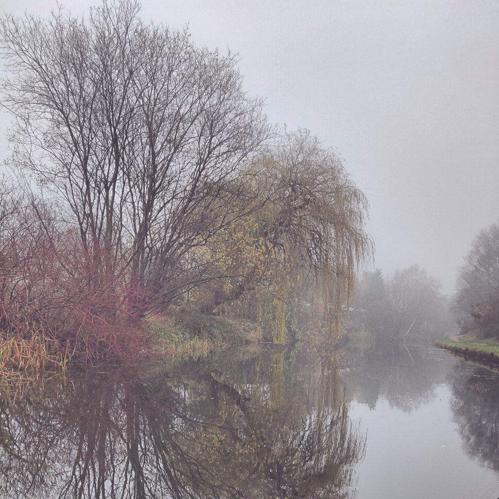 29th November 2020