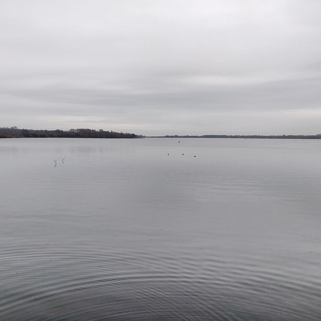 30th November 2020