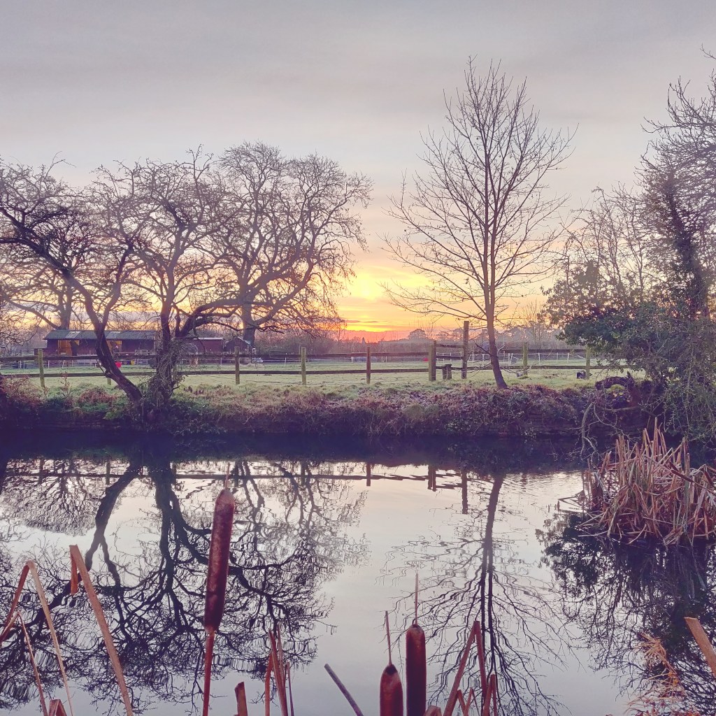 8th November 2020