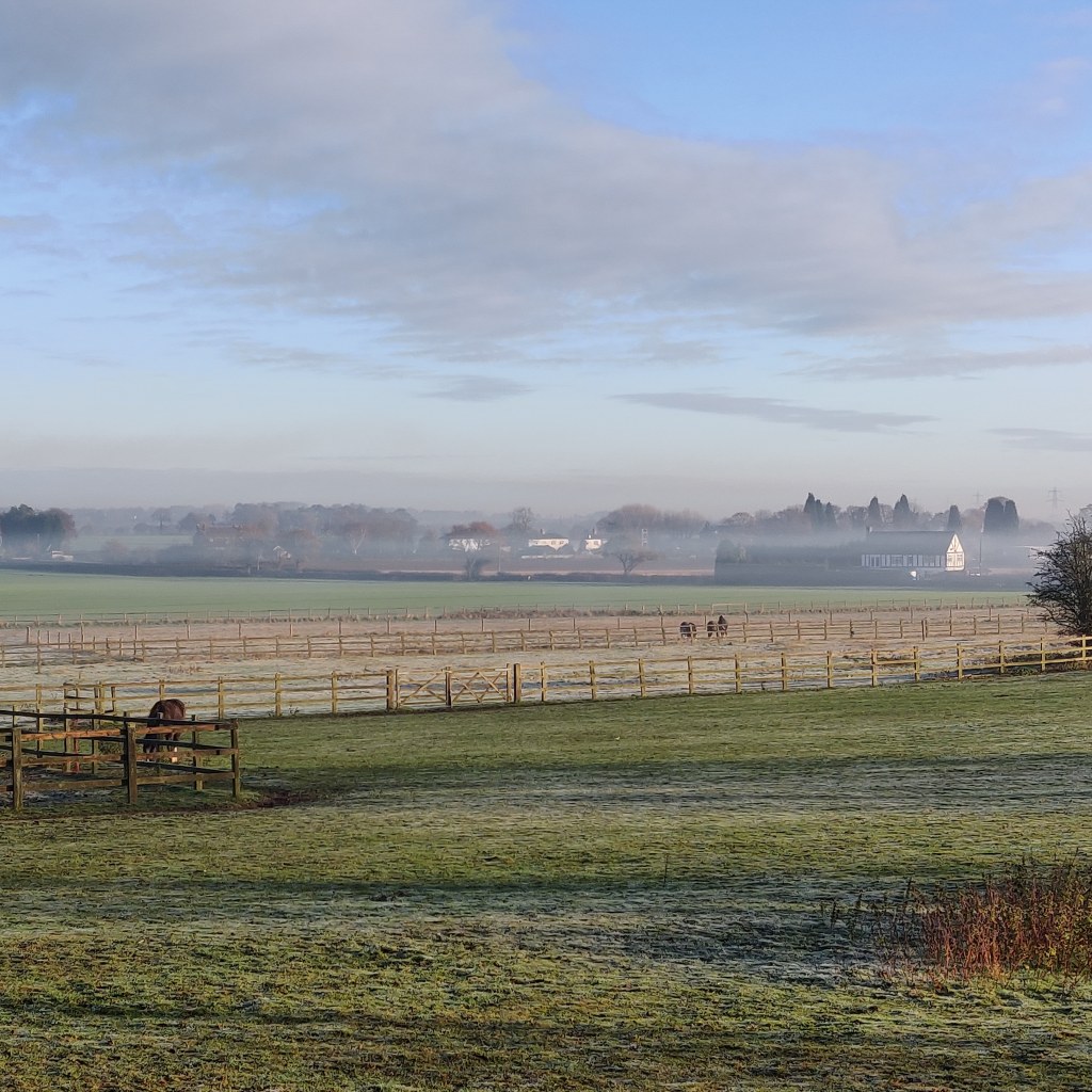 11th December 2020