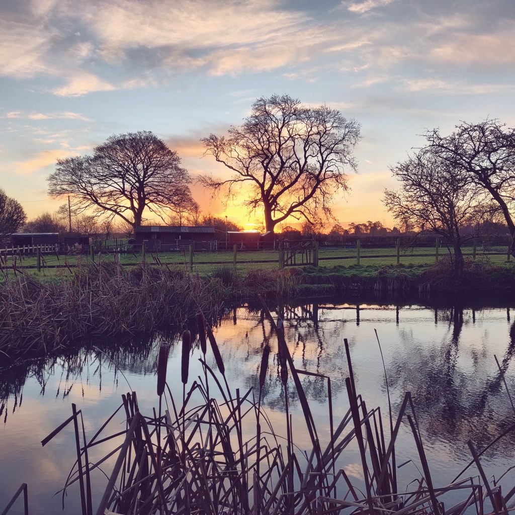 20th December 2020