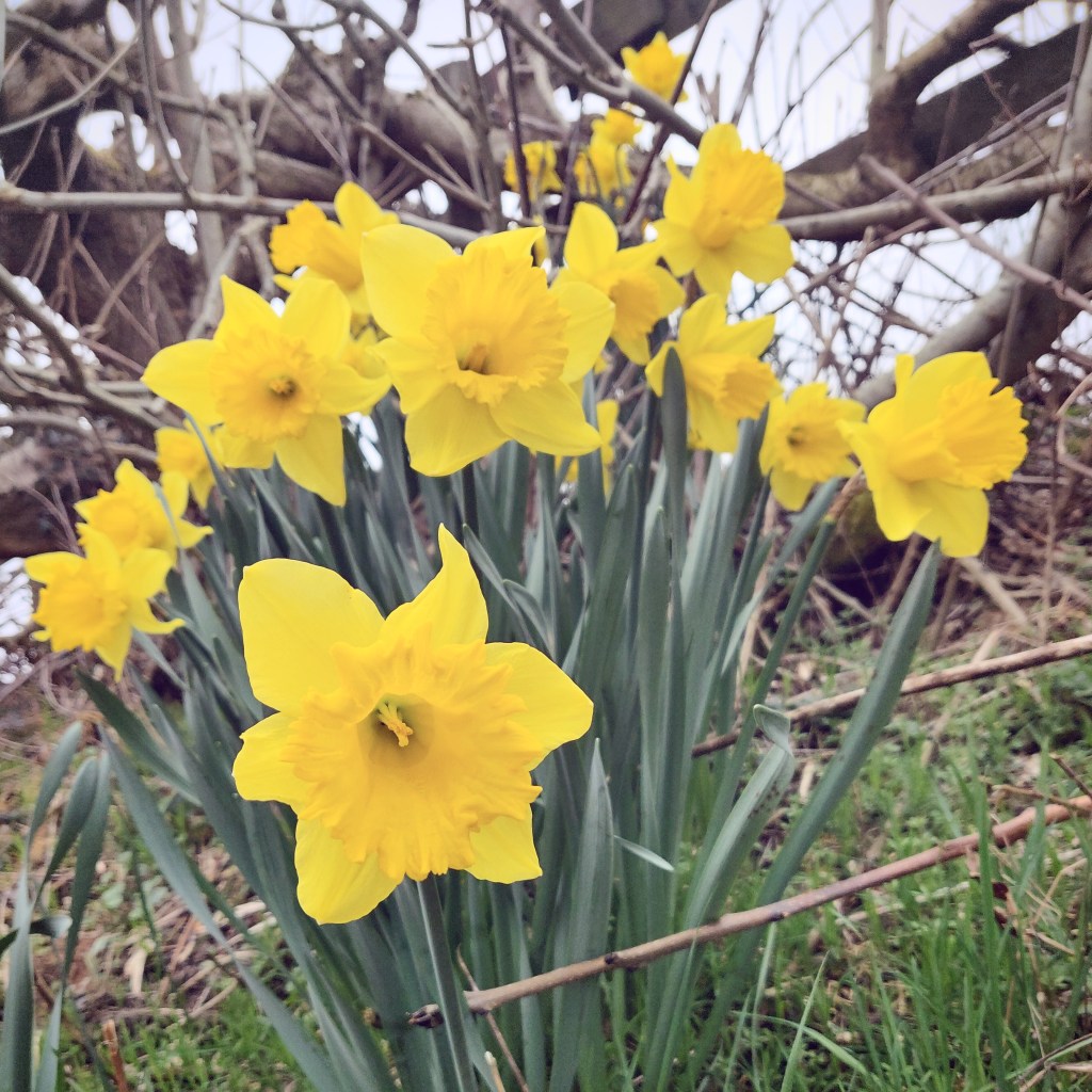 28th March 2021