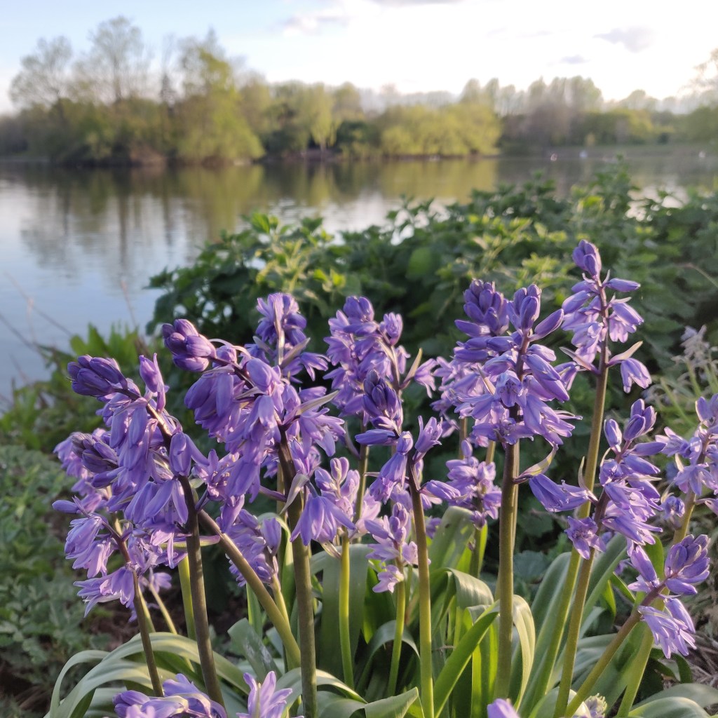 11th May 2021