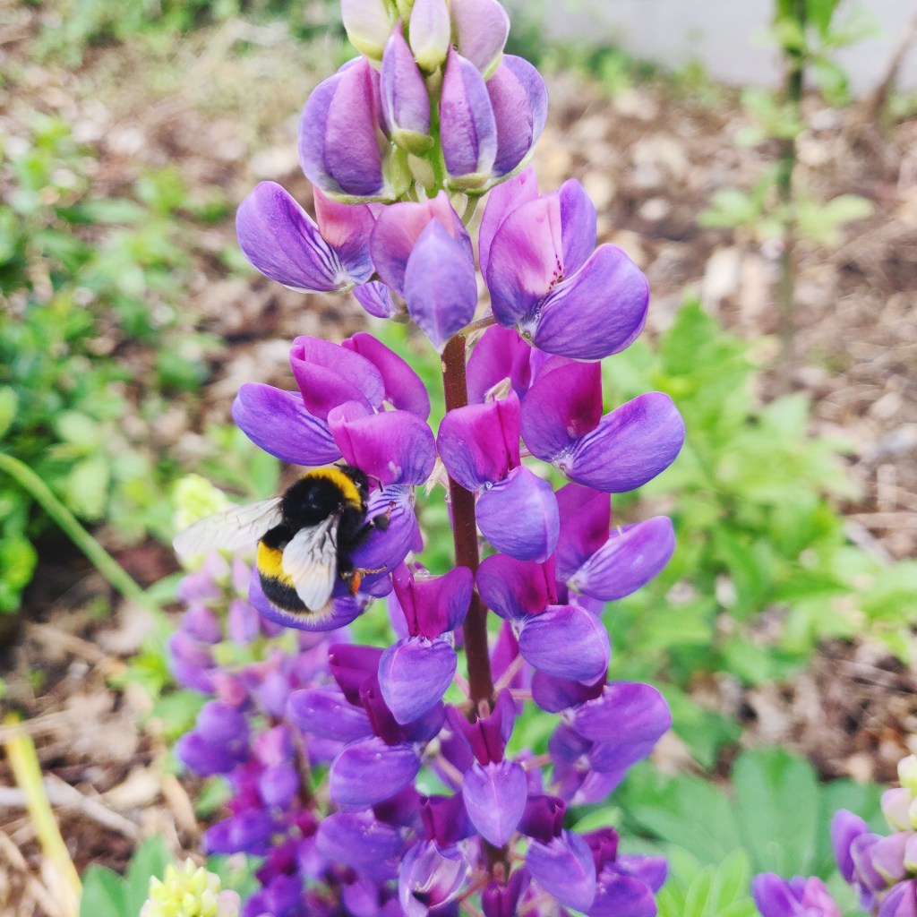 25th June 2021