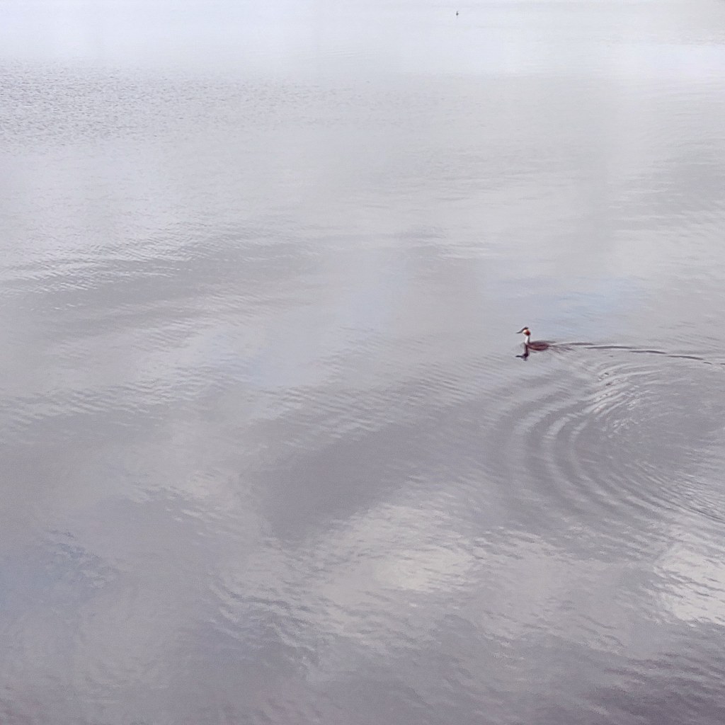 29th June 2021