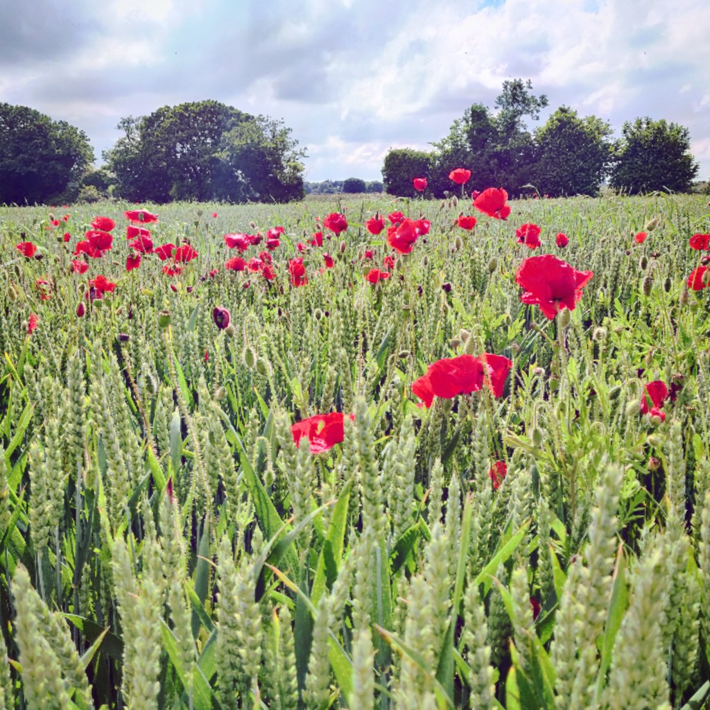 16th July 2021