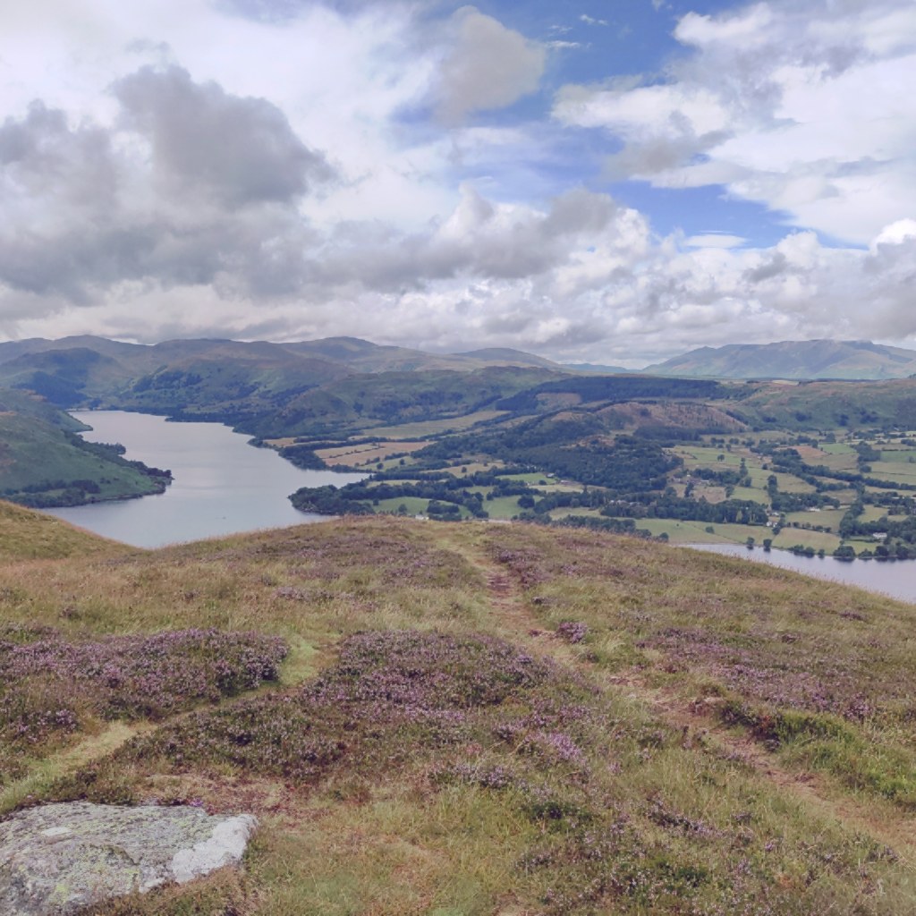 29th July 2021