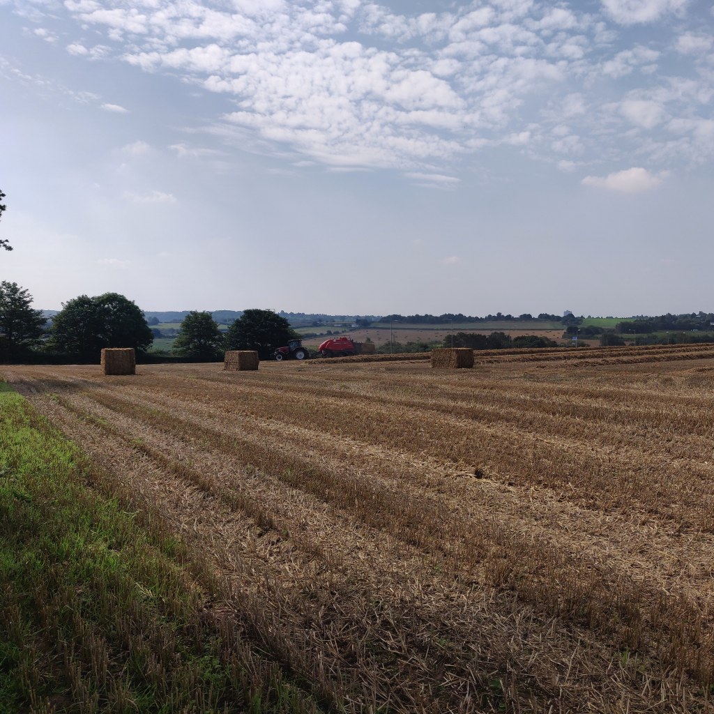 7th September 2021