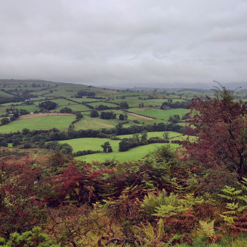 5th October 2021