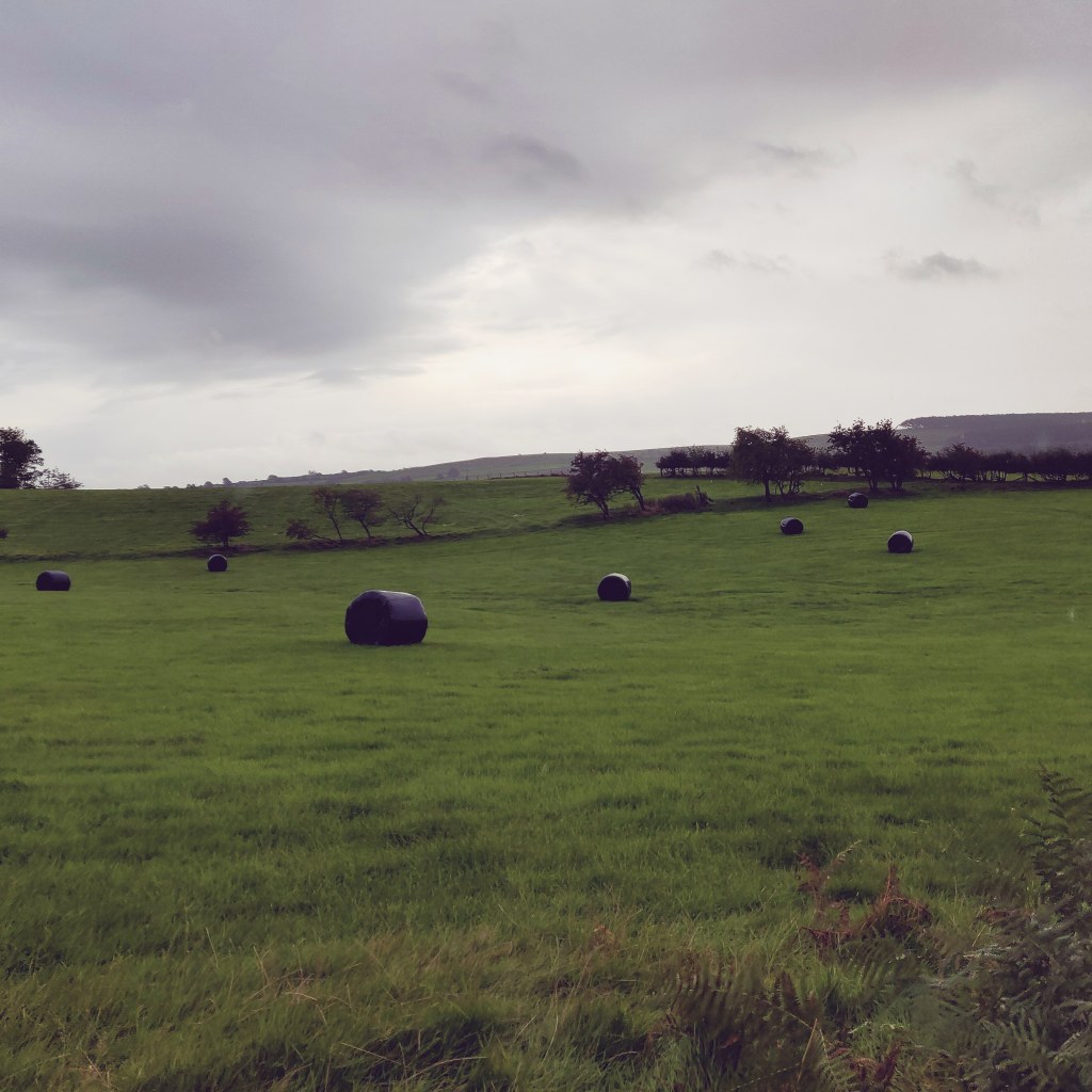 8th October 2021