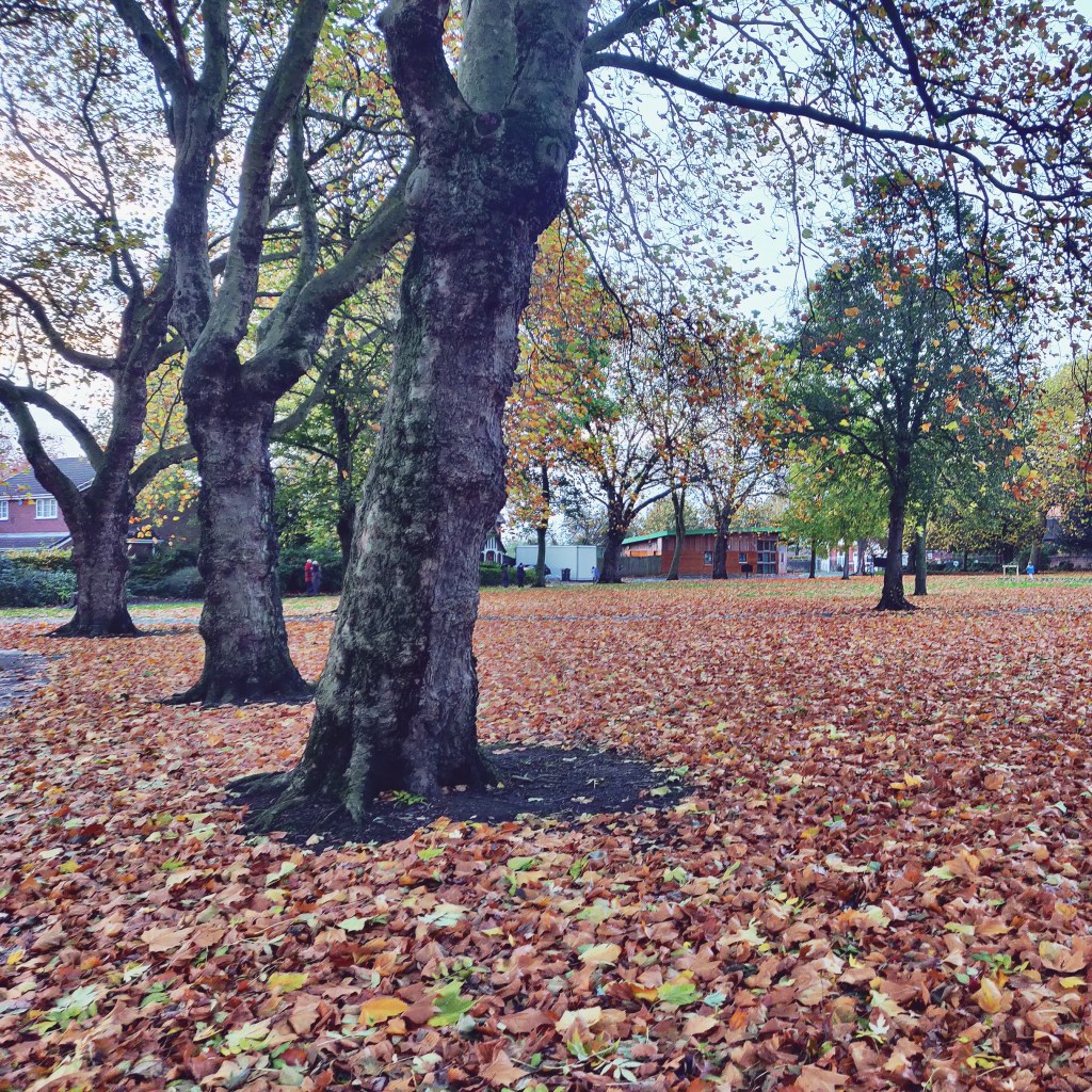 1st November 2021