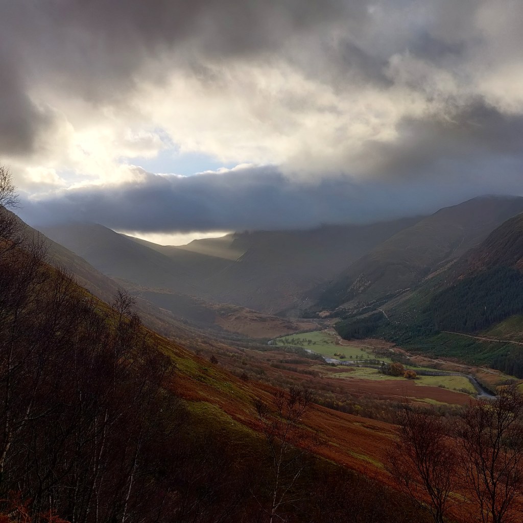 10th November 2021