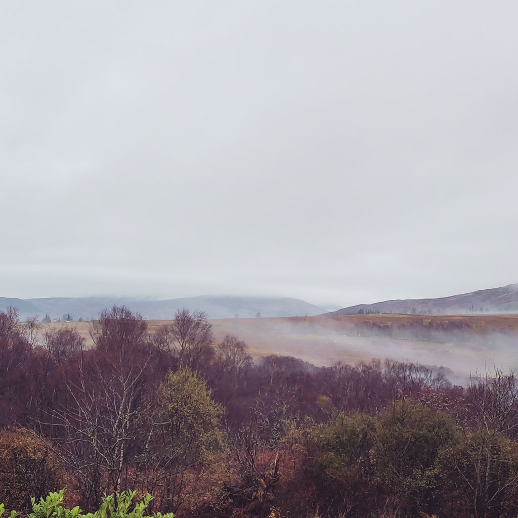 12th November 2021