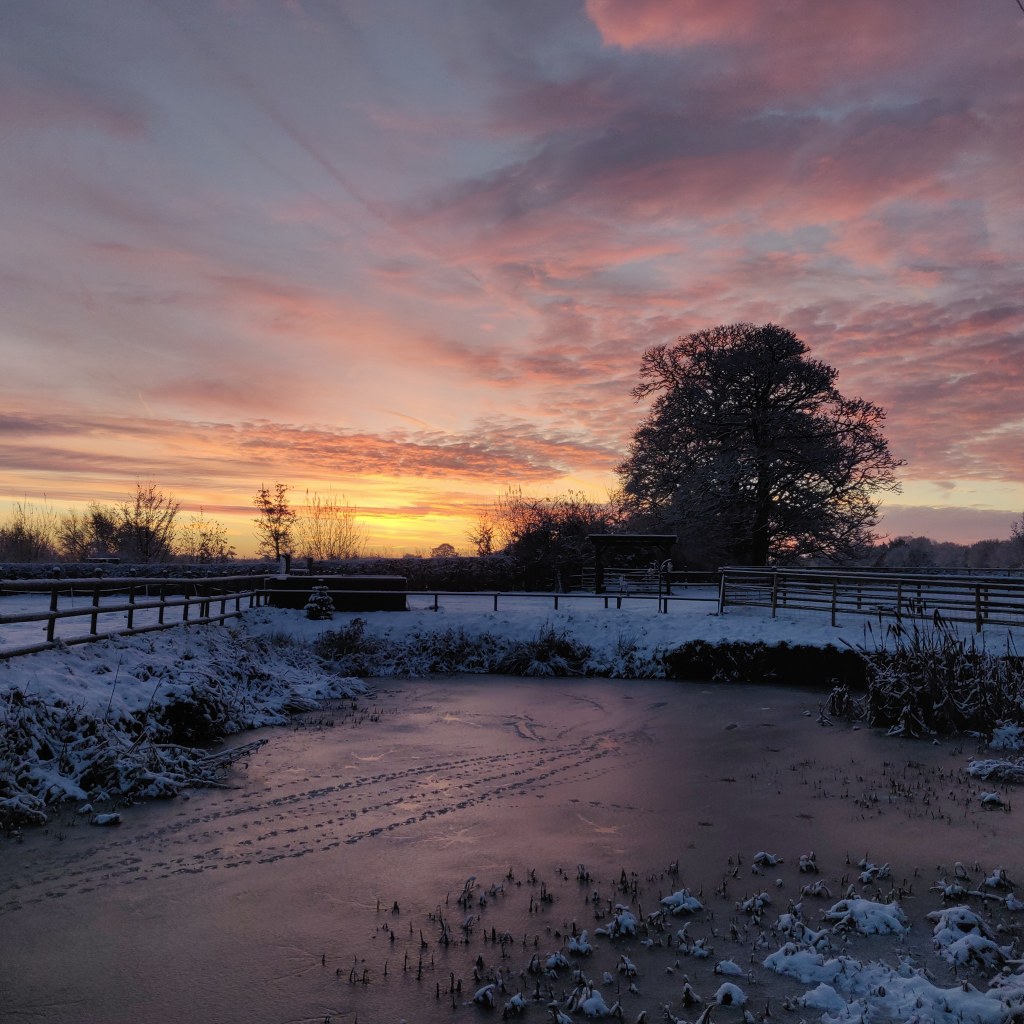 1st December 2021