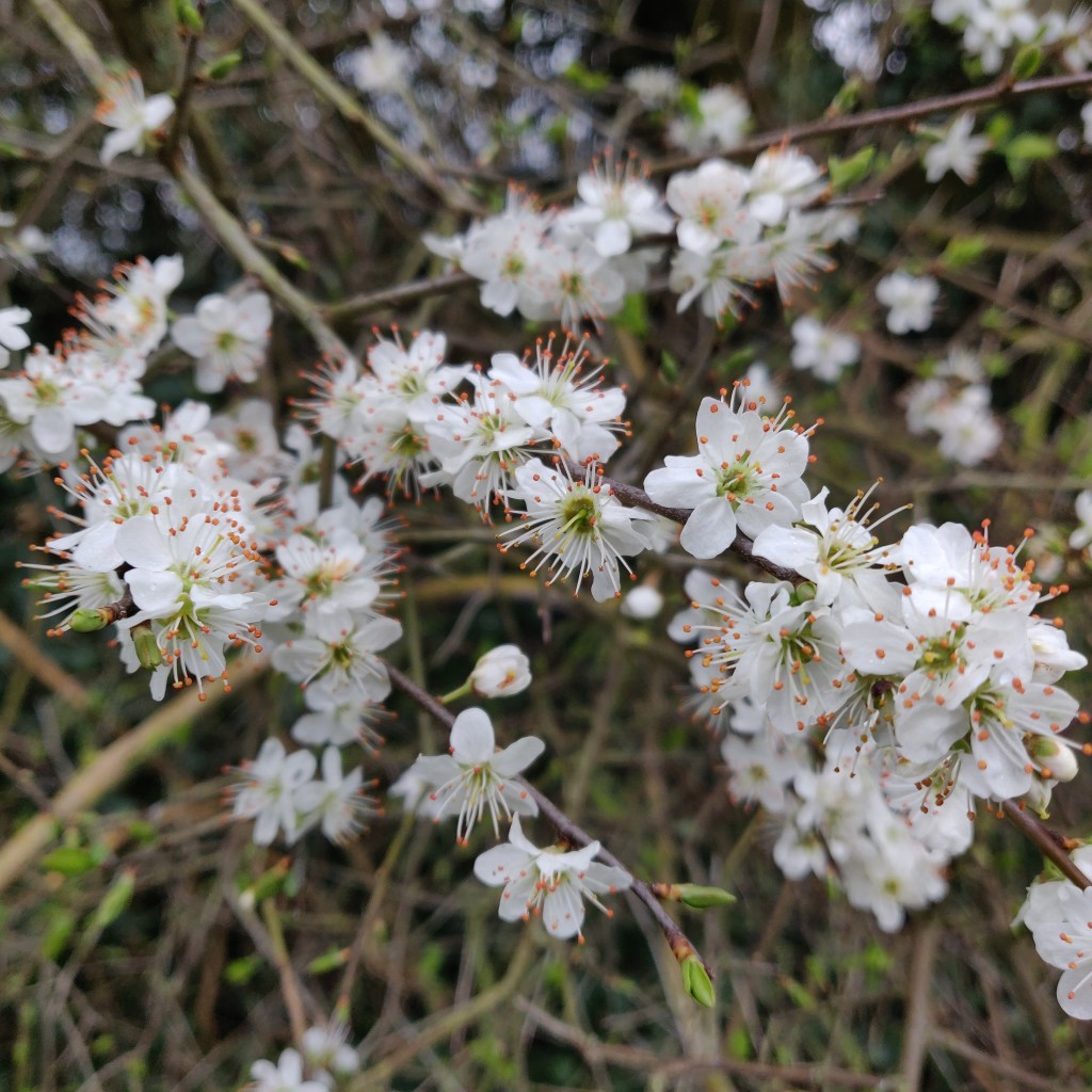 15th April 2022