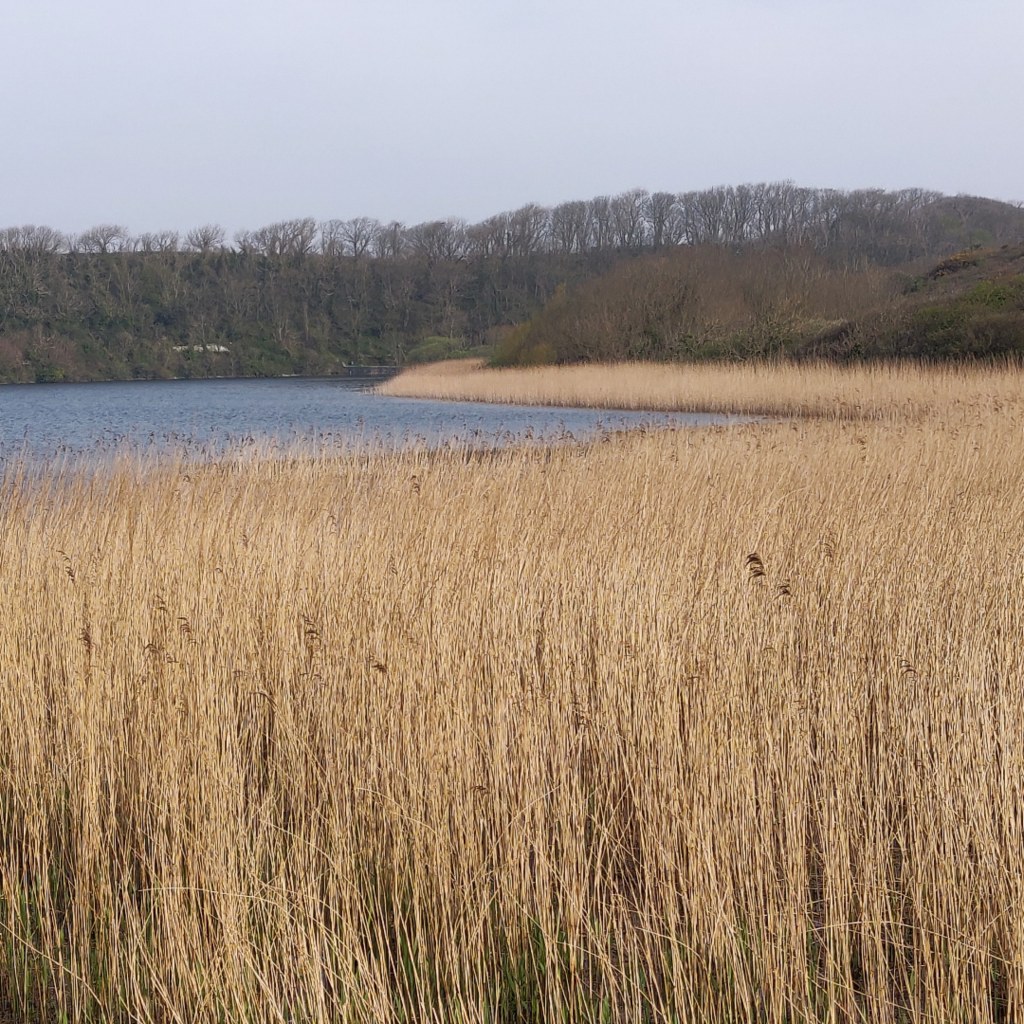 20th April 2022