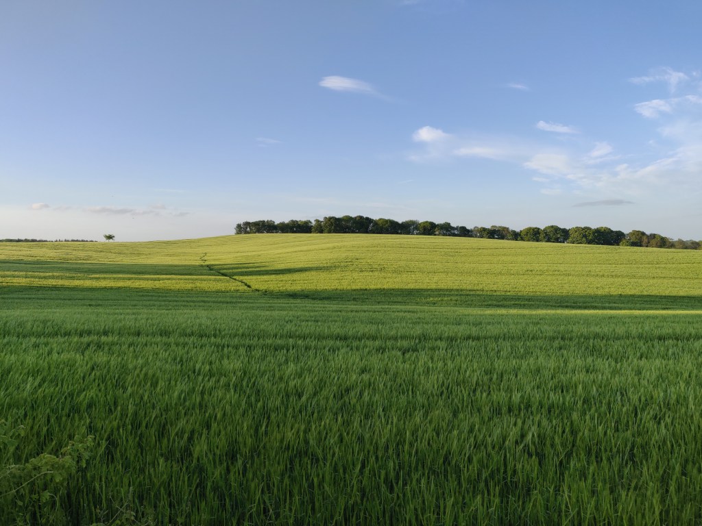 14th May 2022