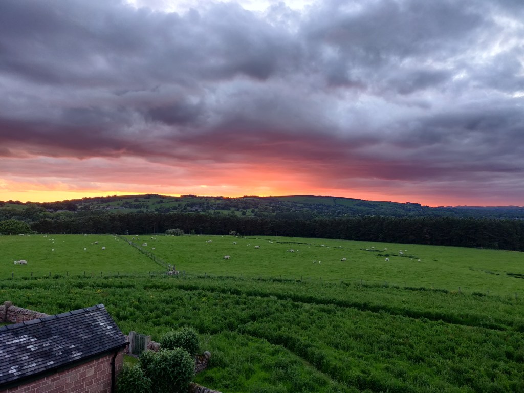 29th May 2022