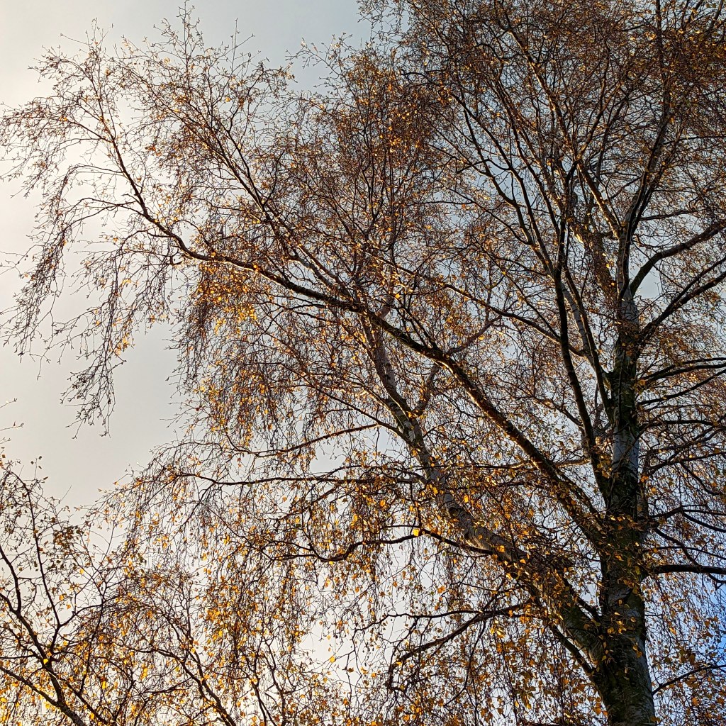 16th November 2022