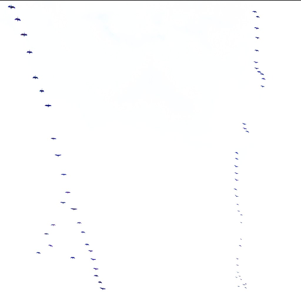 17th November 2022