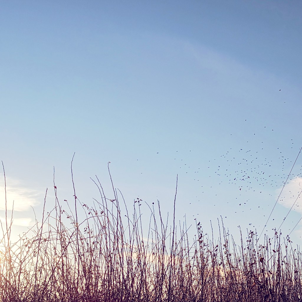 31st December 2022
