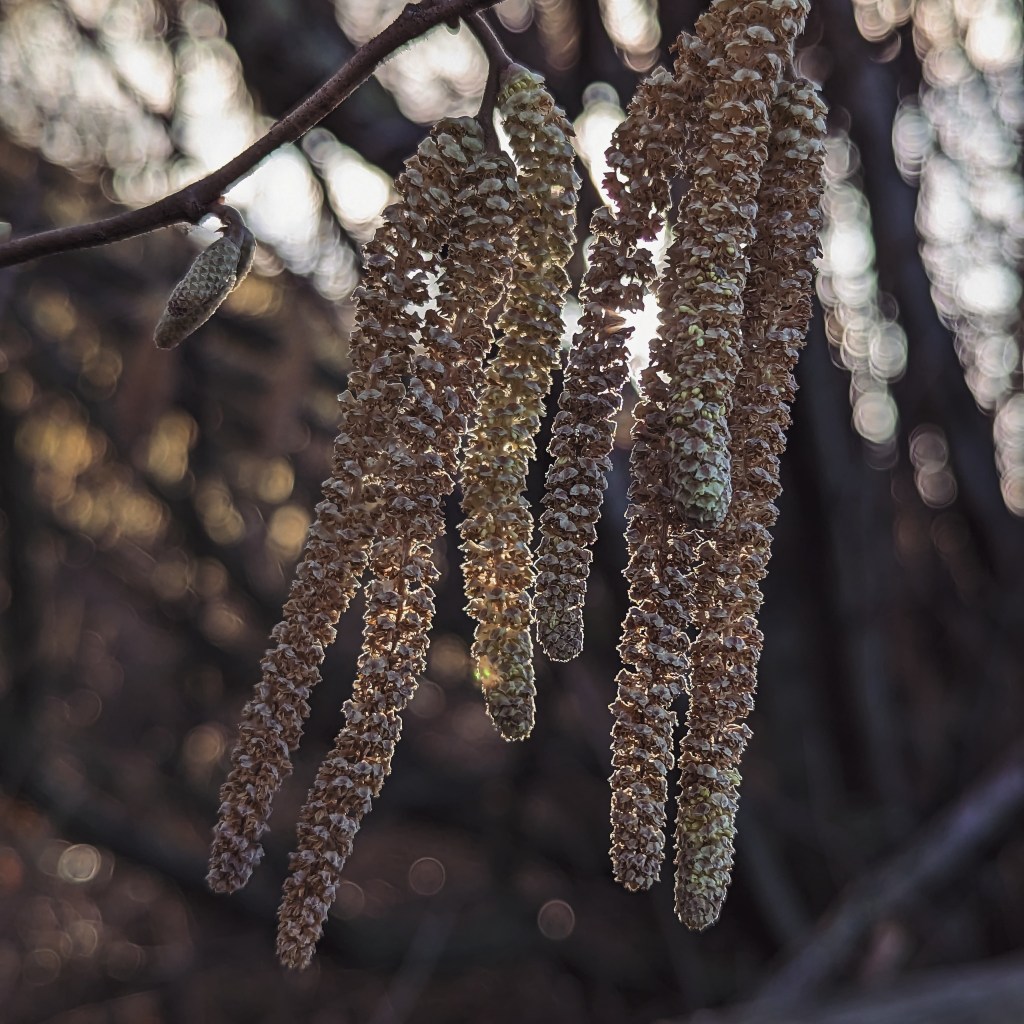 2nd February 2023