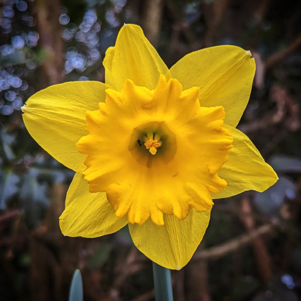 7th March 2023