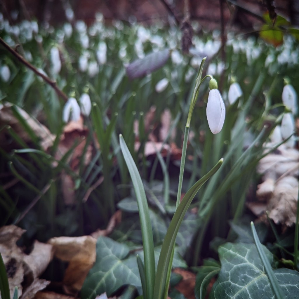 18th March 2023