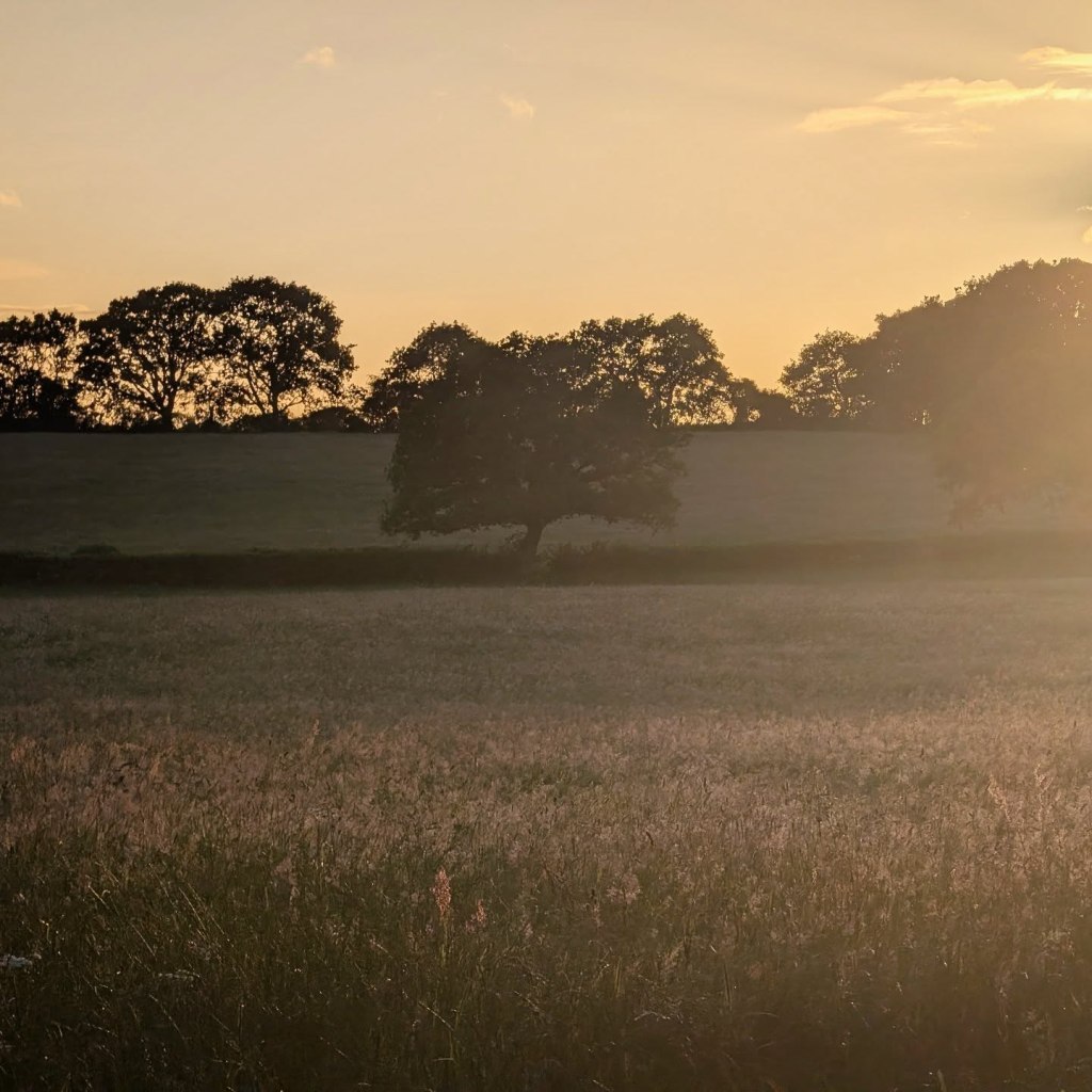 30th June 2026